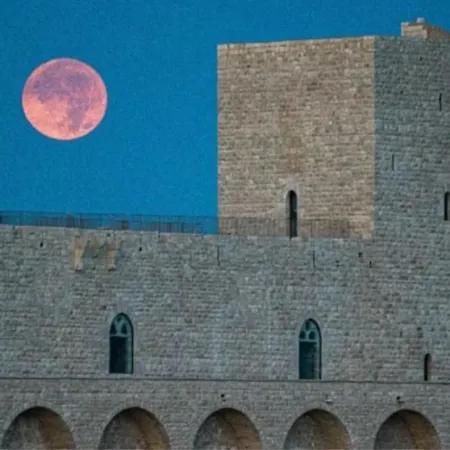 - Magia E Incanto شقة تراني